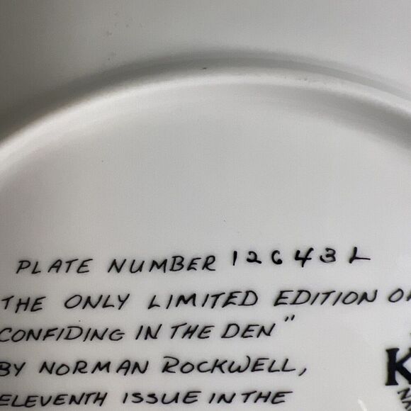 NORMAN ROCKWELL “Confiding in the Den” Rediscovered Women * plate # 12643L‎ - Picture 8 of 11
